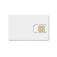 SIM DE DATOS CON CONECTIVIDAD TELCEL / 600MB DE NAVEGACION (50 MB PROMEDIO MENSUAL) / 1 AÑO DE SERVICIO /