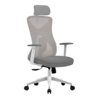 silla-acteck.webp SILLA ERGONOMICA ACTECK FLOE PRO EC373 / PLASTICO CON MALLA / MARIPOSA CLASE 4 / MAX 120 KG / PISTON CLASE 3 / REPOSABRAZOS FIJO / BLANCO / AC-937245